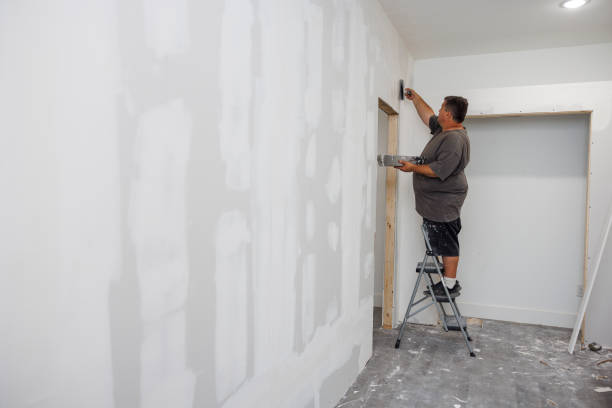 Best Crawl Space Mold Remediation  in Lowell, NC
